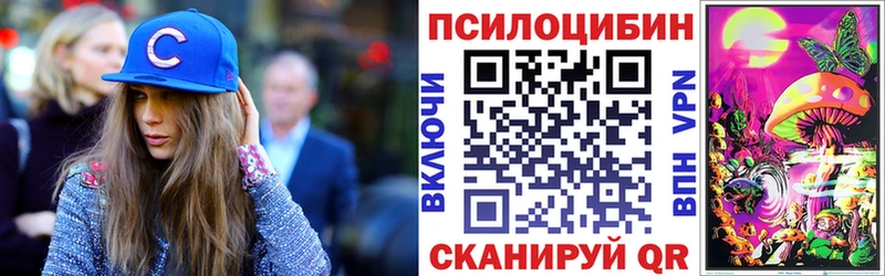 Галлюциногенные грибы мухоморы  hydra вход  Сенгилей  купить наркотики сайты 